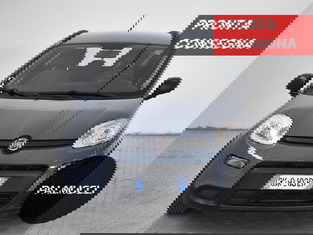 Fiat Panda usata a Prato (2)