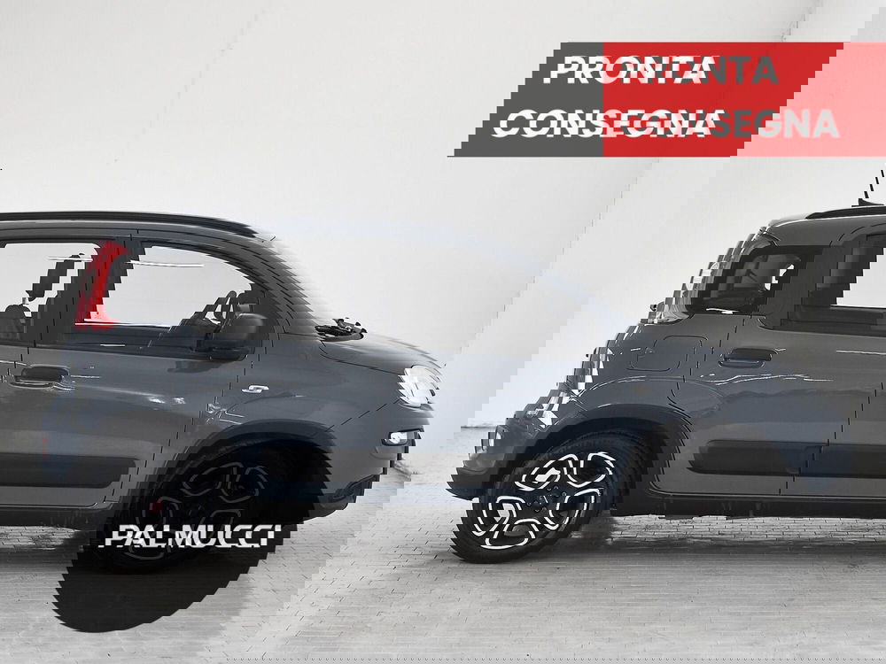 Fiat Panda usata a Prato (4)