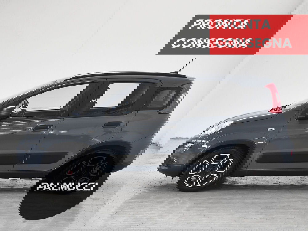 Fiat Panda usata a Prato (5)