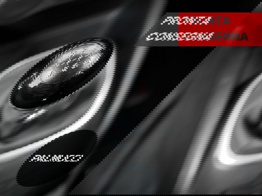 Fiat 500L usata a Prato (11)