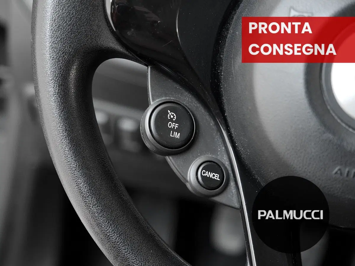 smart forfour usata a Prato (10)