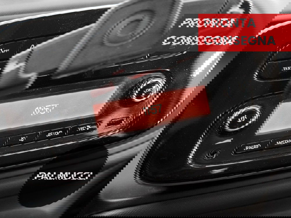 smart forfour usata a Prato (12)