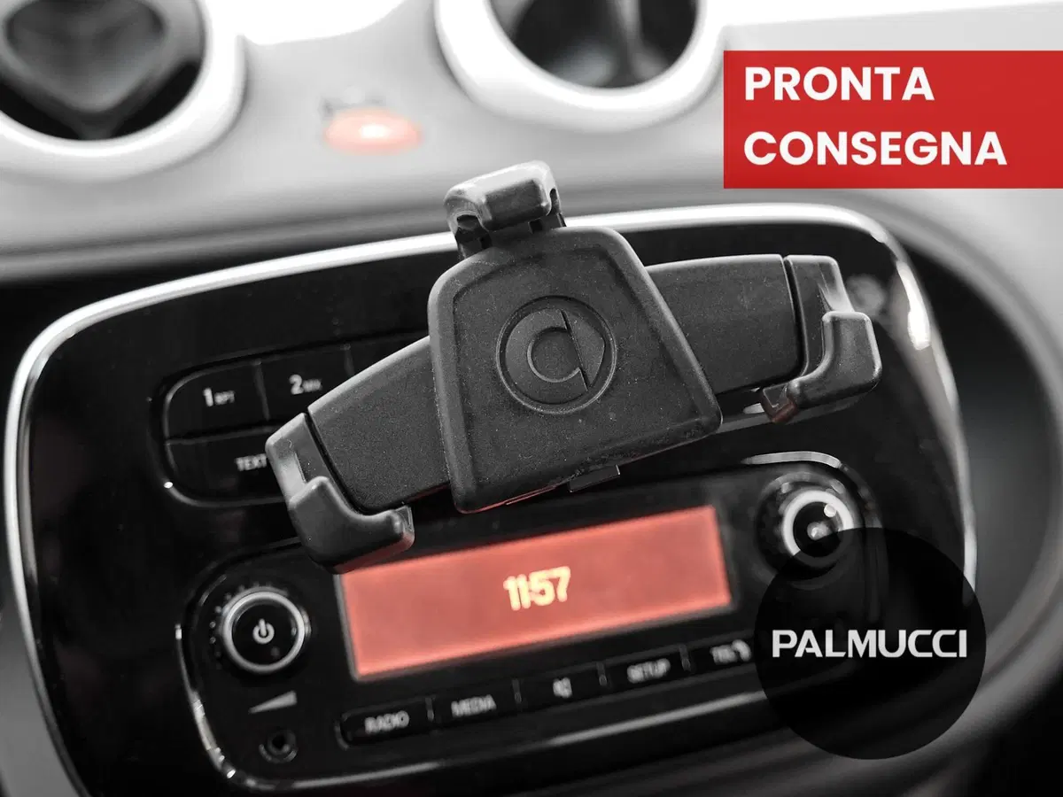 smart forfour usata a Prato (17)