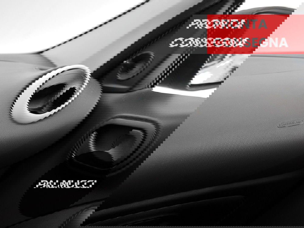 smart forfour usata a Prato (18)