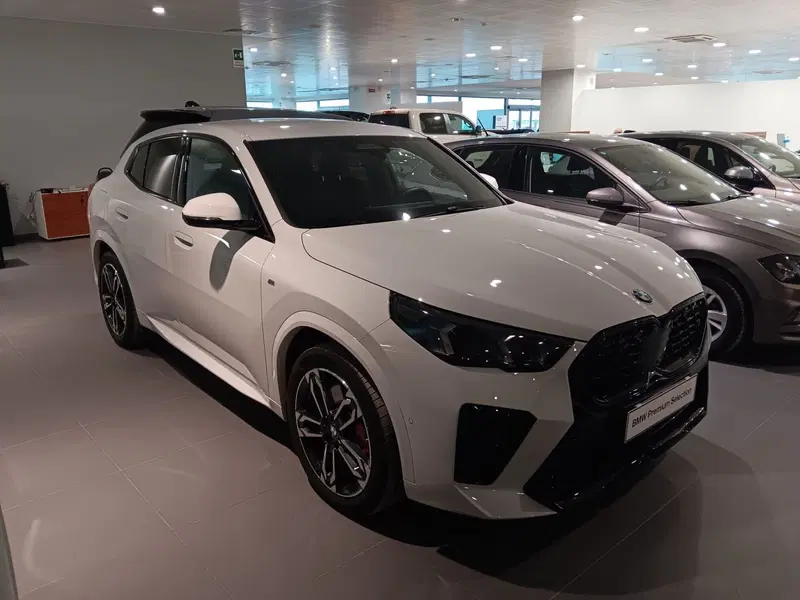 BMW X2 usata a Cuneo (6)