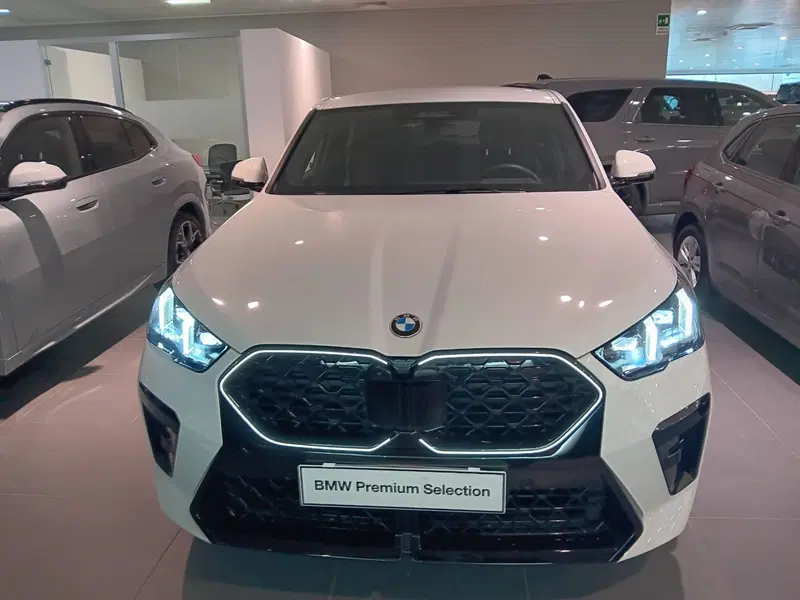BMW X2 usata a Cuneo (7)