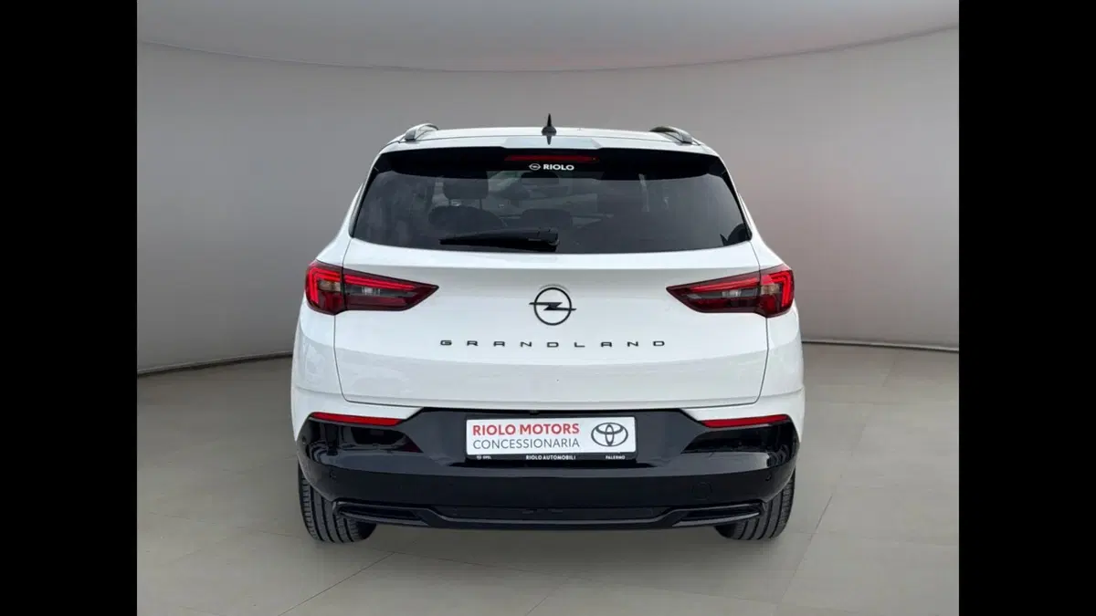 Opel Grandland usata a Palermo (3)