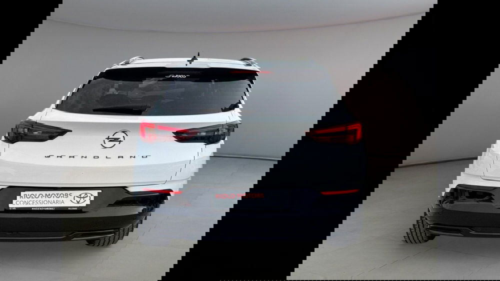 Opel Grandland usata a Palermo (3)