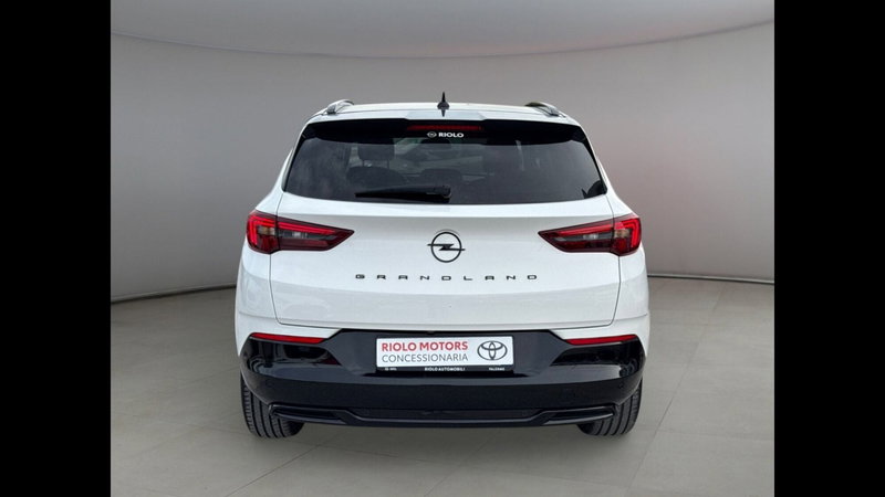 Opel Grandland usata a Palermo (3)