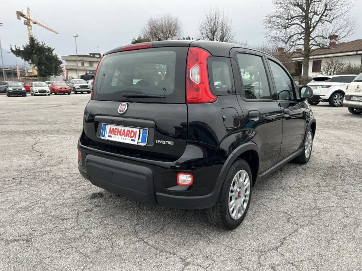 Fiat Panda Cross usata a Cuneo (3)