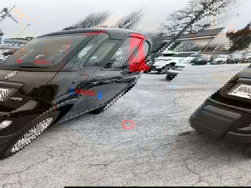 Fiat Panda Cross usata a Cuneo (3)