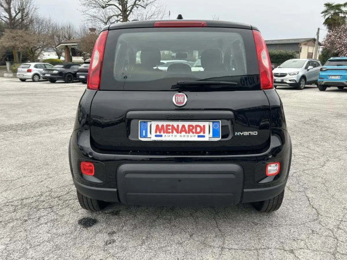 Fiat Panda Cross usata a Cuneo (4)