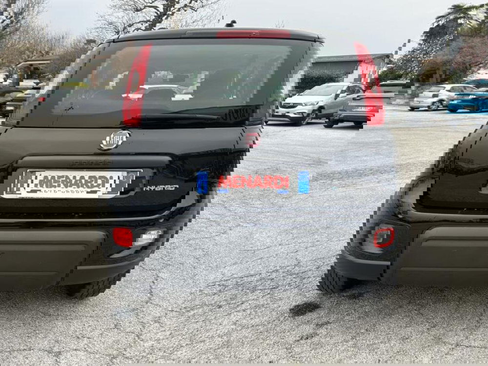 Fiat Panda Cross usata a Cuneo (4)