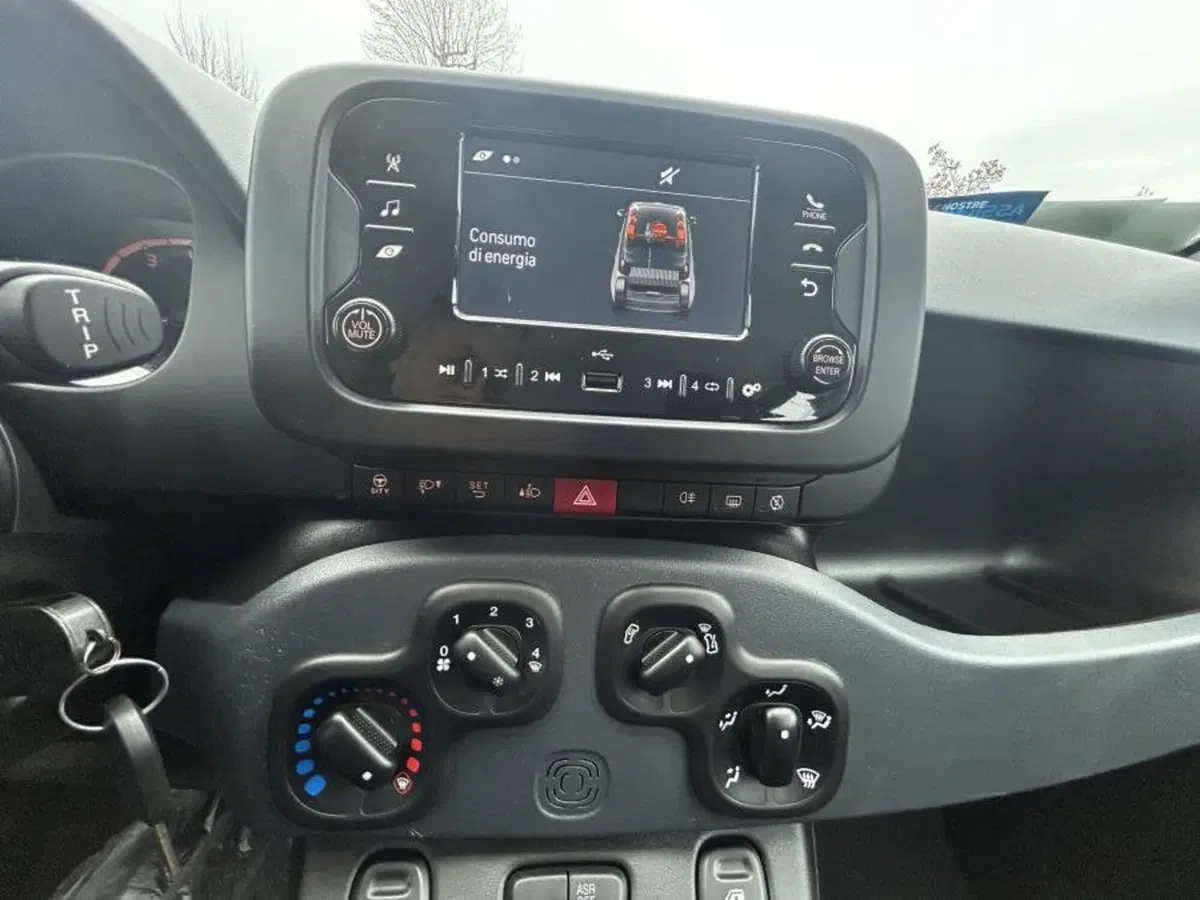 Fiat Panda Cross usata a Cuneo (8)