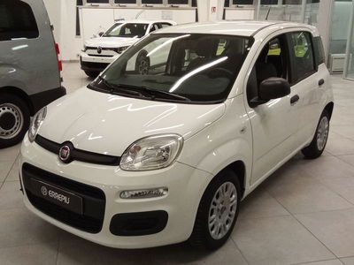 Fiat Panda Cross Cross 1.0 FireFly S&amp;S Hybrid del 2021 usata a Rimini