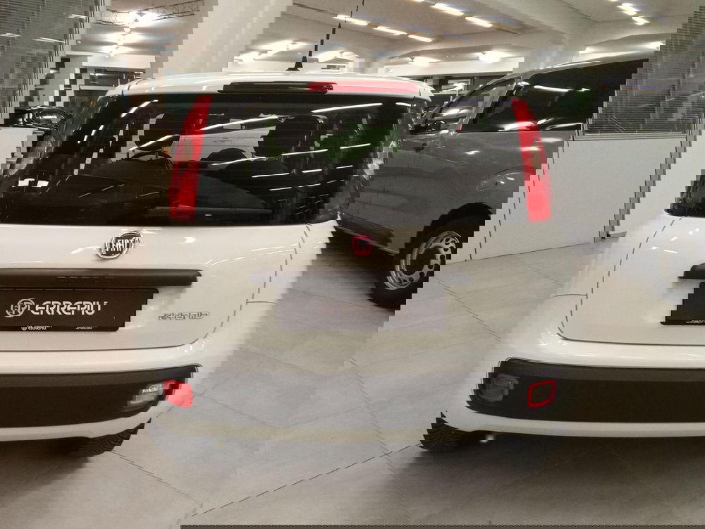 Fiat Panda Cross usata a Rimini (10)