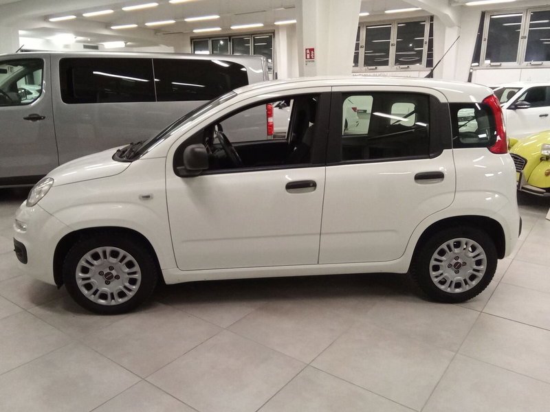 Fiat Panda Cross usata a Rimini (11)