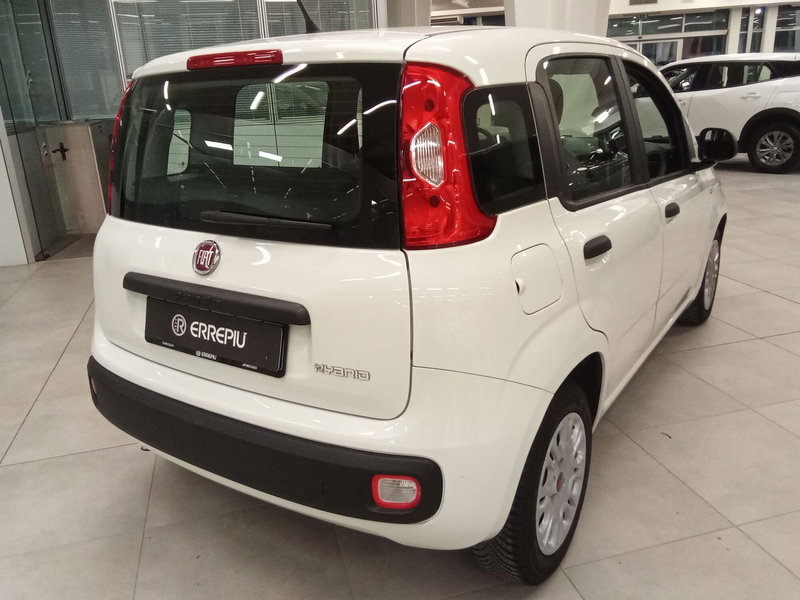 Fiat Panda Cross usata a Rimini (8)