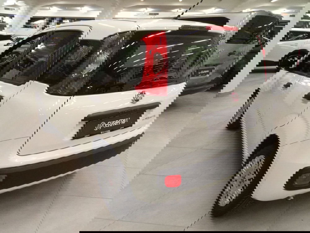 Fiat Panda Cross usata a Rimini (9)