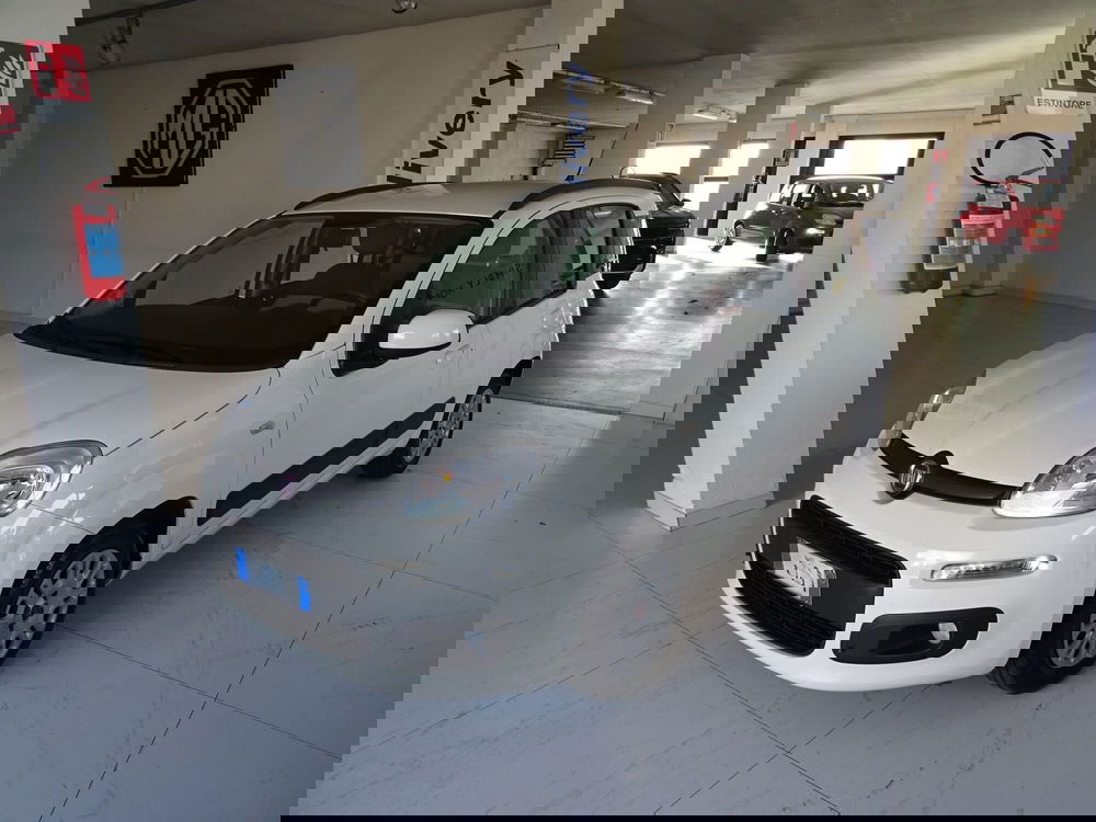 Fiat Panda usata a Lucca