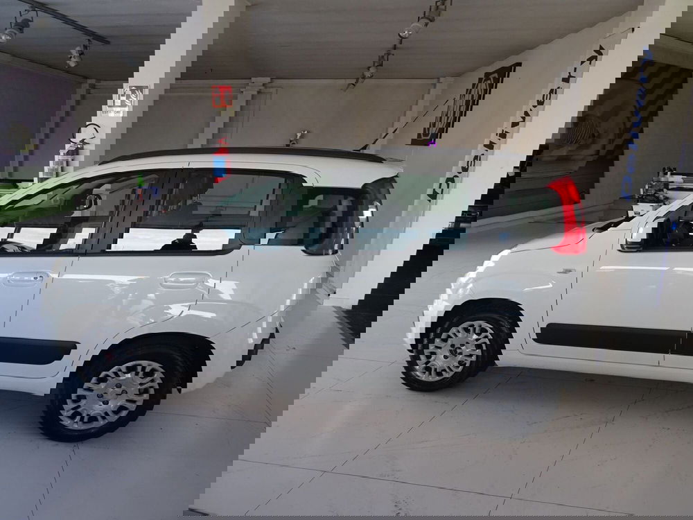 Fiat Panda usata a Lucca (2)