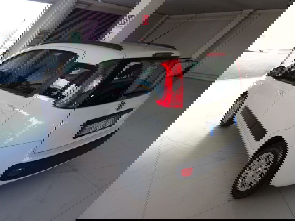 Fiat Panda usata a Lucca (3)