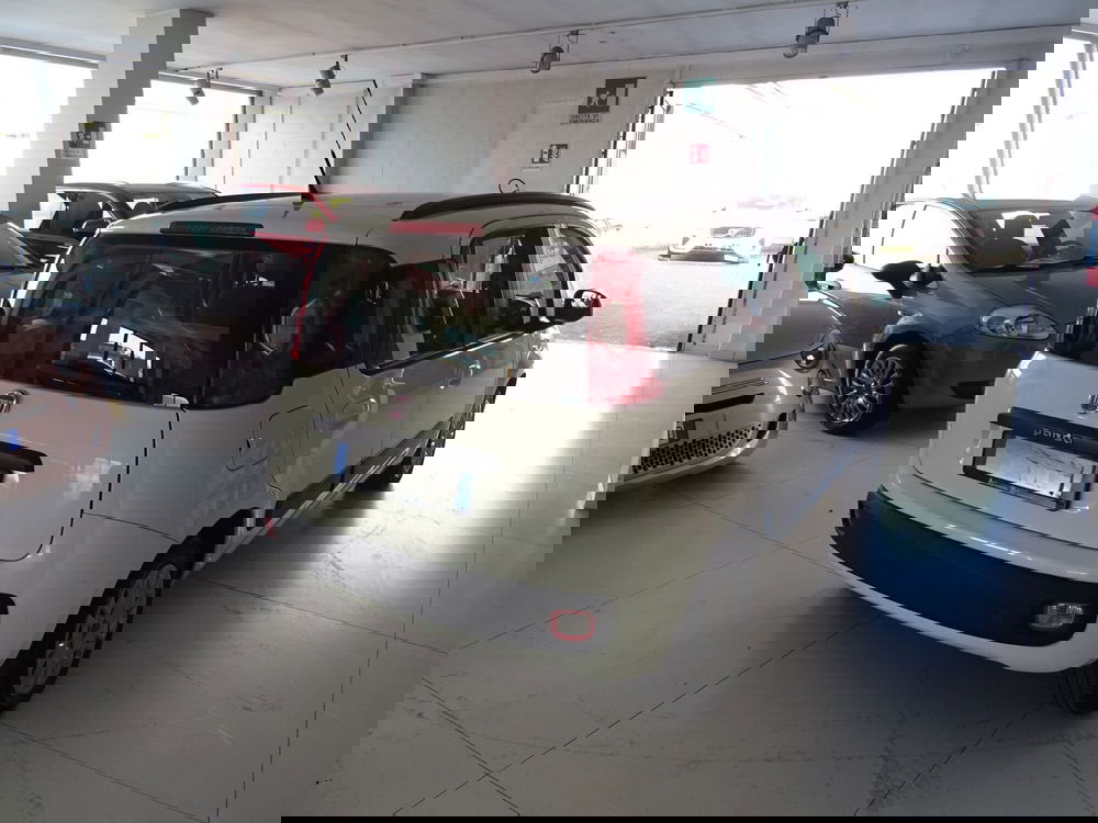 Fiat Panda usata a Lucca (4)