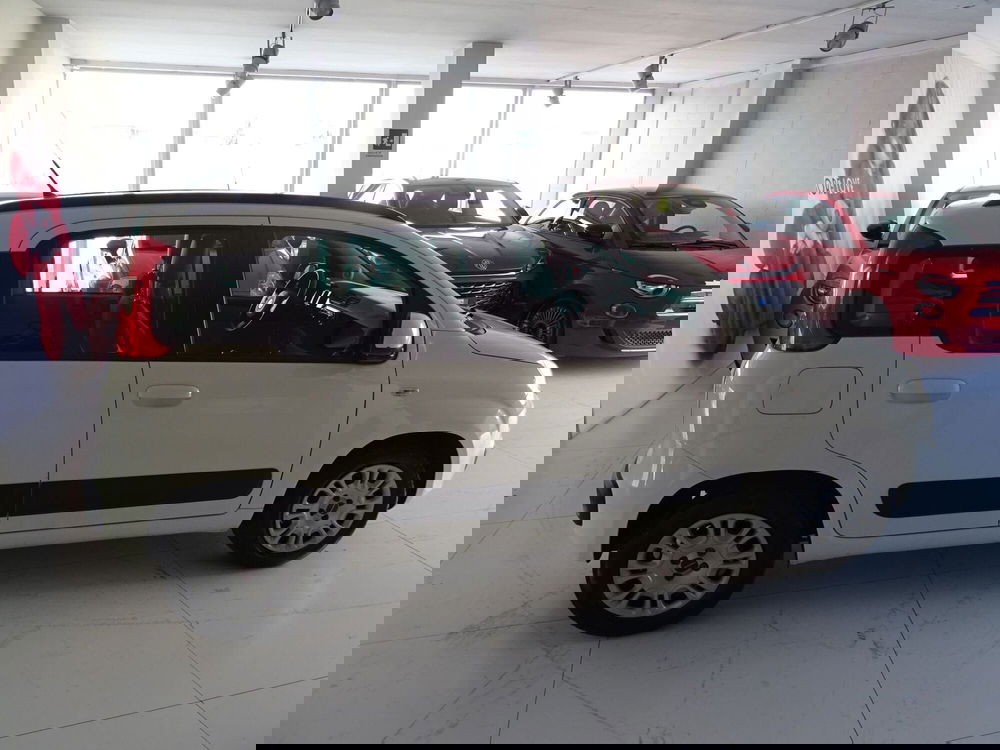 Fiat Panda usata a Lucca (5)