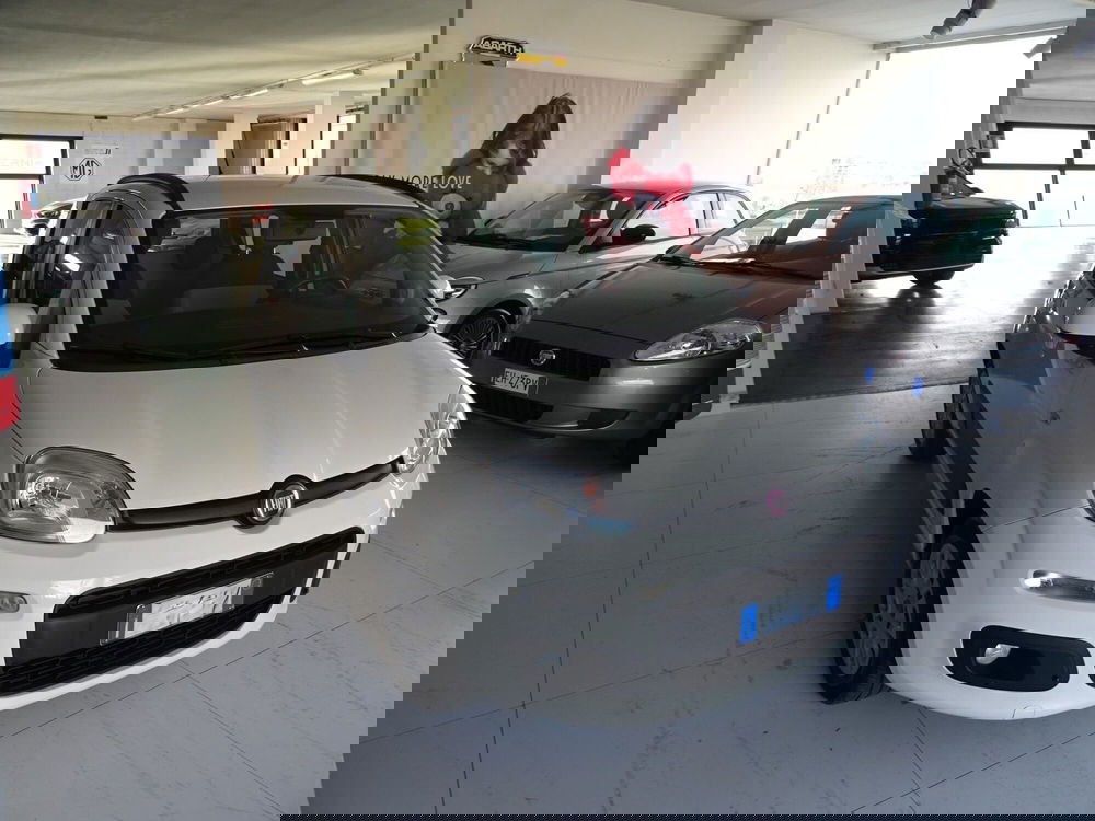 Fiat Panda usata a Lucca (6)