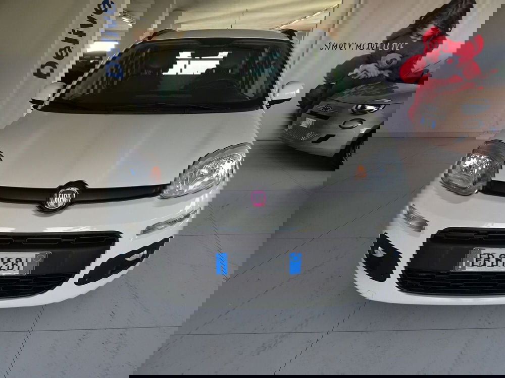 Fiat Panda usata a Lucca (7)