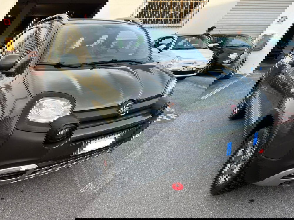 Fiat Panda usata a Lucca (3)