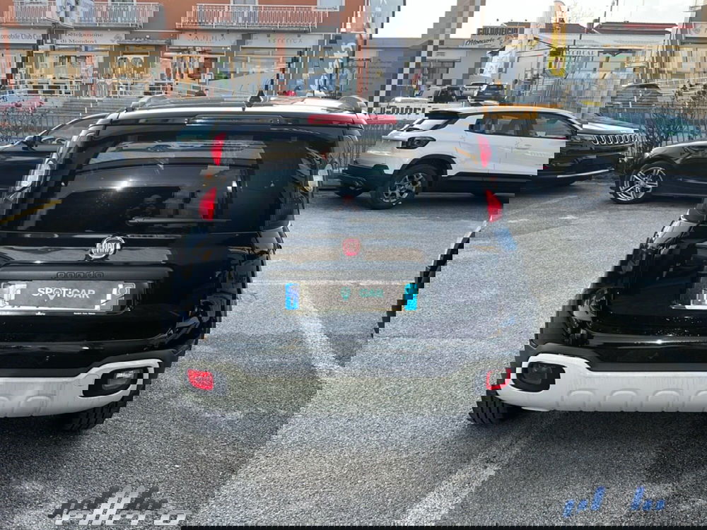 Fiat Panda Cross usata a Cuneo (6)