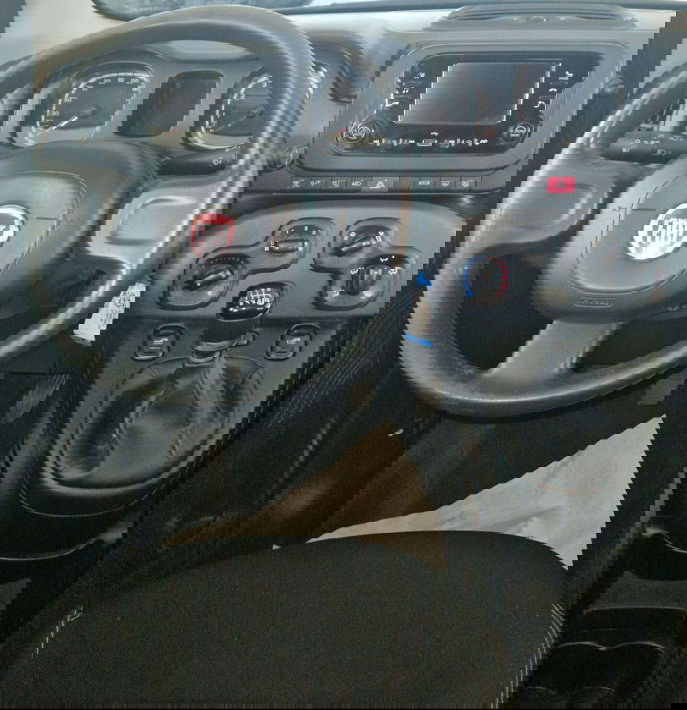 Fiat Panda Cross usata a Terni (11)