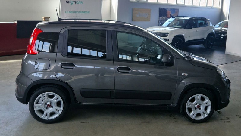 Fiat Panda Cross usata a Terni (3)