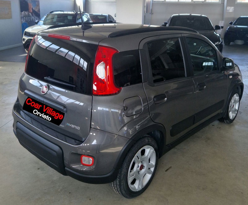 Fiat Panda Cross usata a Terni (4)
