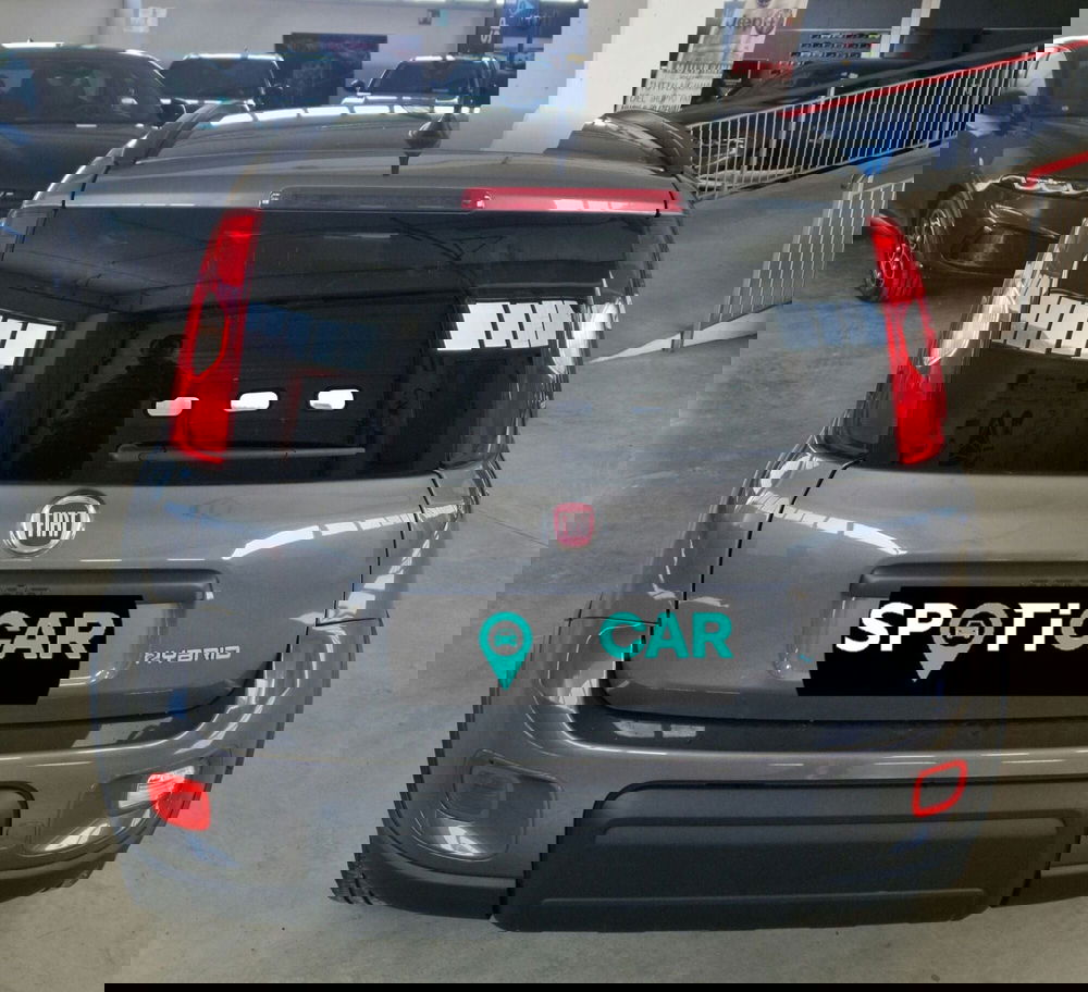 Fiat Panda Cross usata a Terni (5)