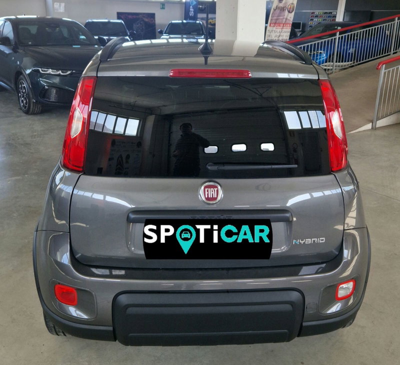 Fiat Panda Cross usata a Terni (5)