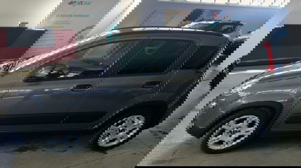 Fiat Panda Cross usata a Terni (6)