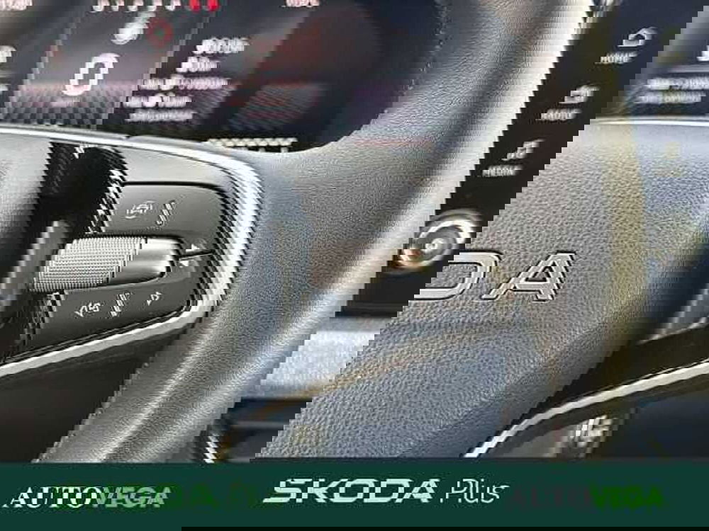 Skoda Kamiq usata a Vicenza (20)