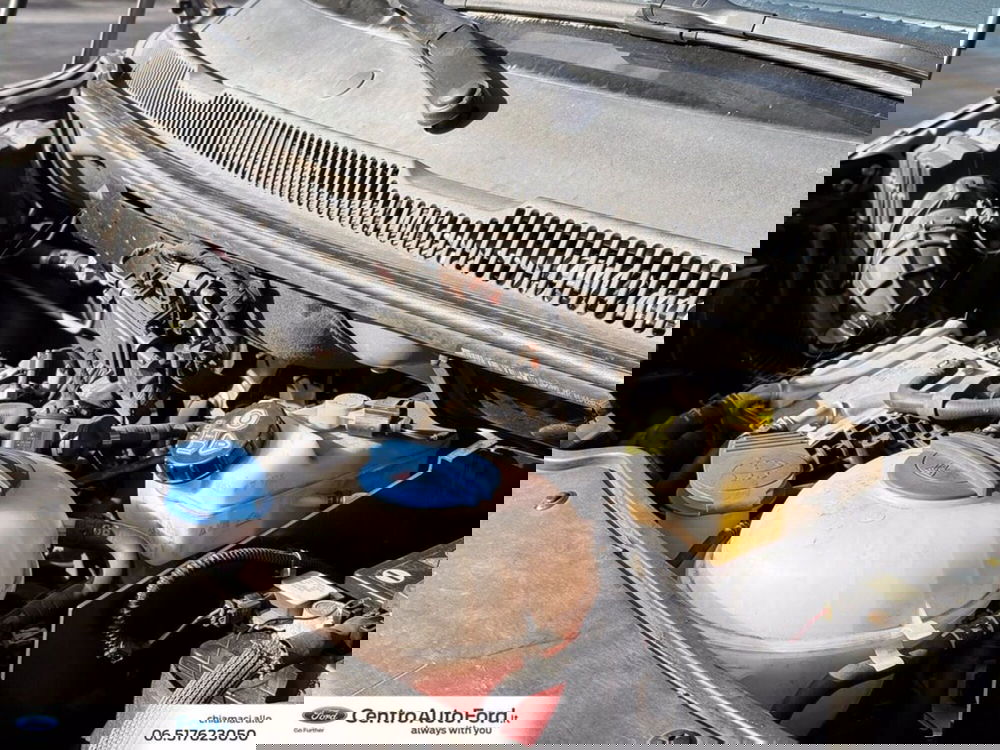 Volkswagen Veicoli Commerciali T6.1 usata a Roma (13)