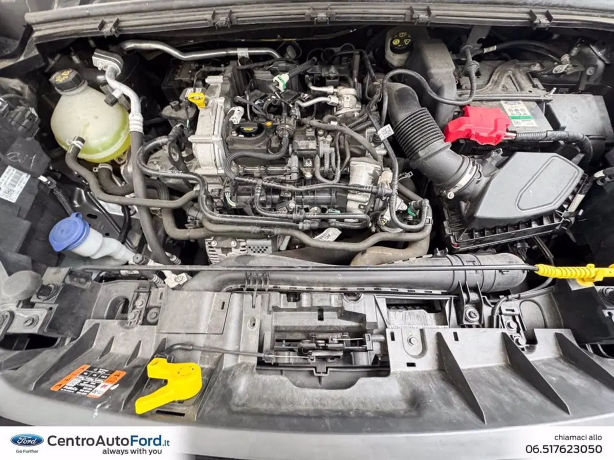 Ford Puma usata a Roma (11)