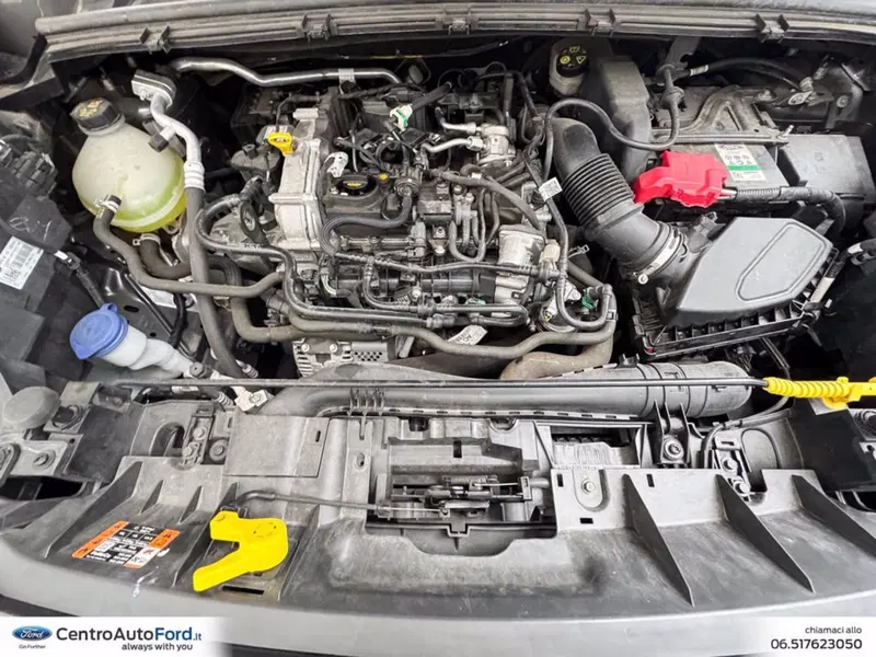 Ford Puma usata a Roma (12)