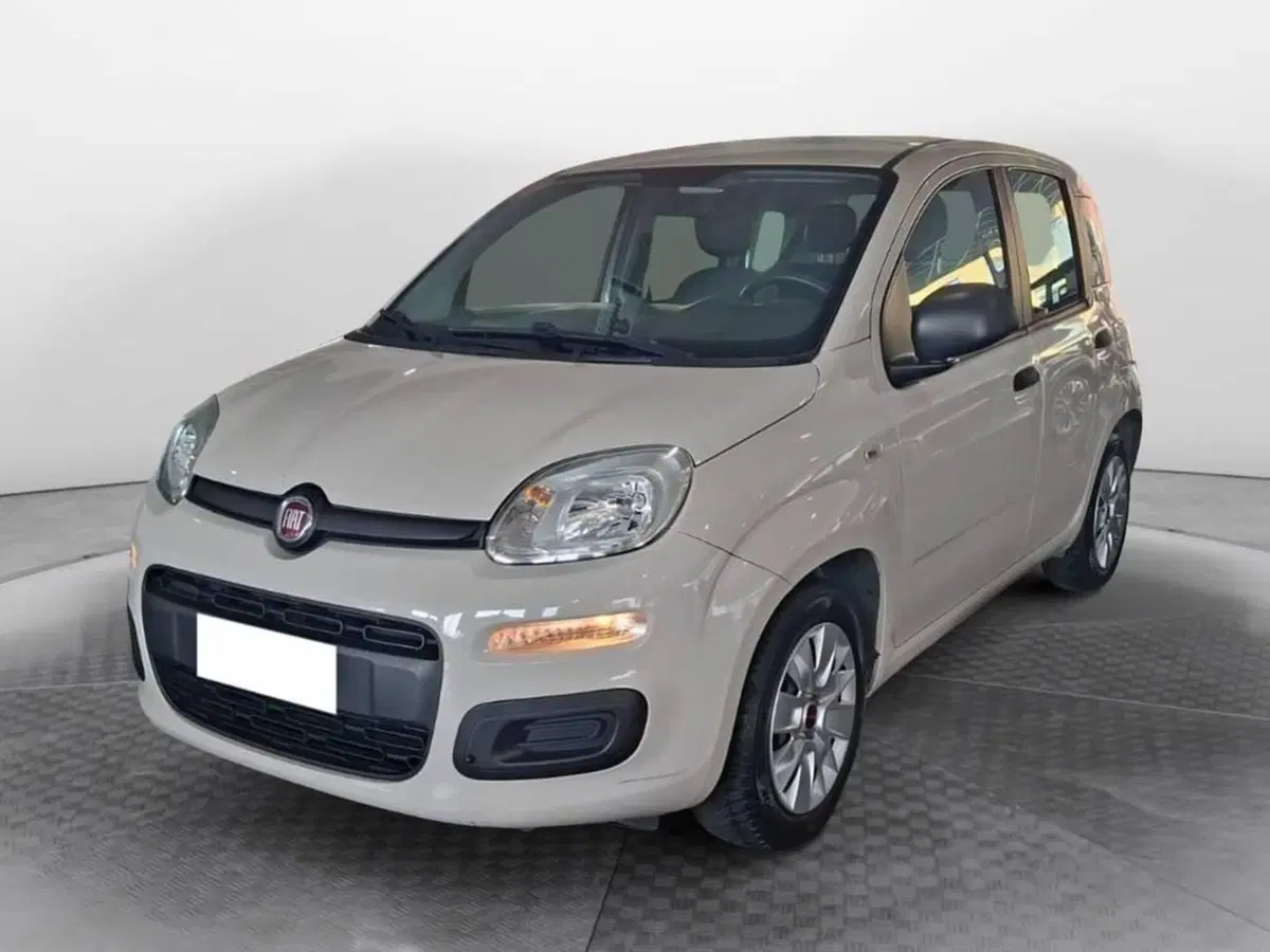 Fiat Panda usata a Torino