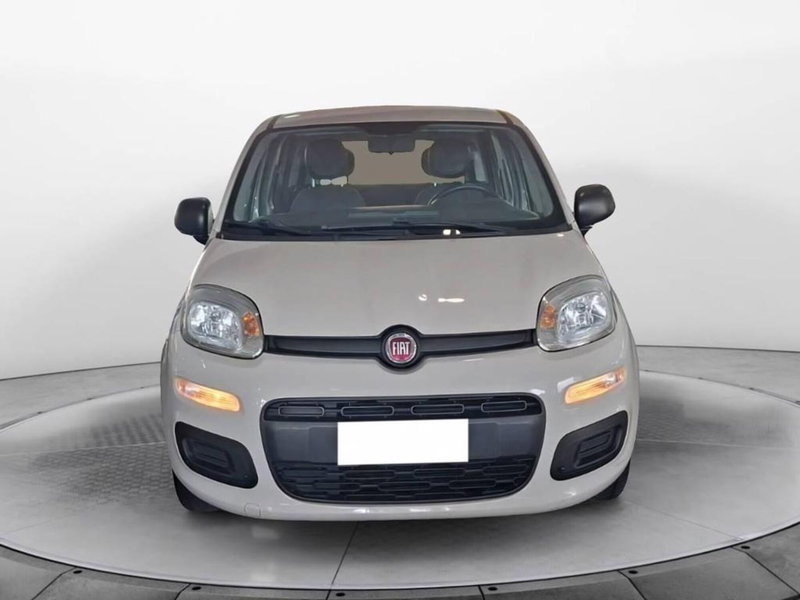 Fiat Panda usata a Torino (2)