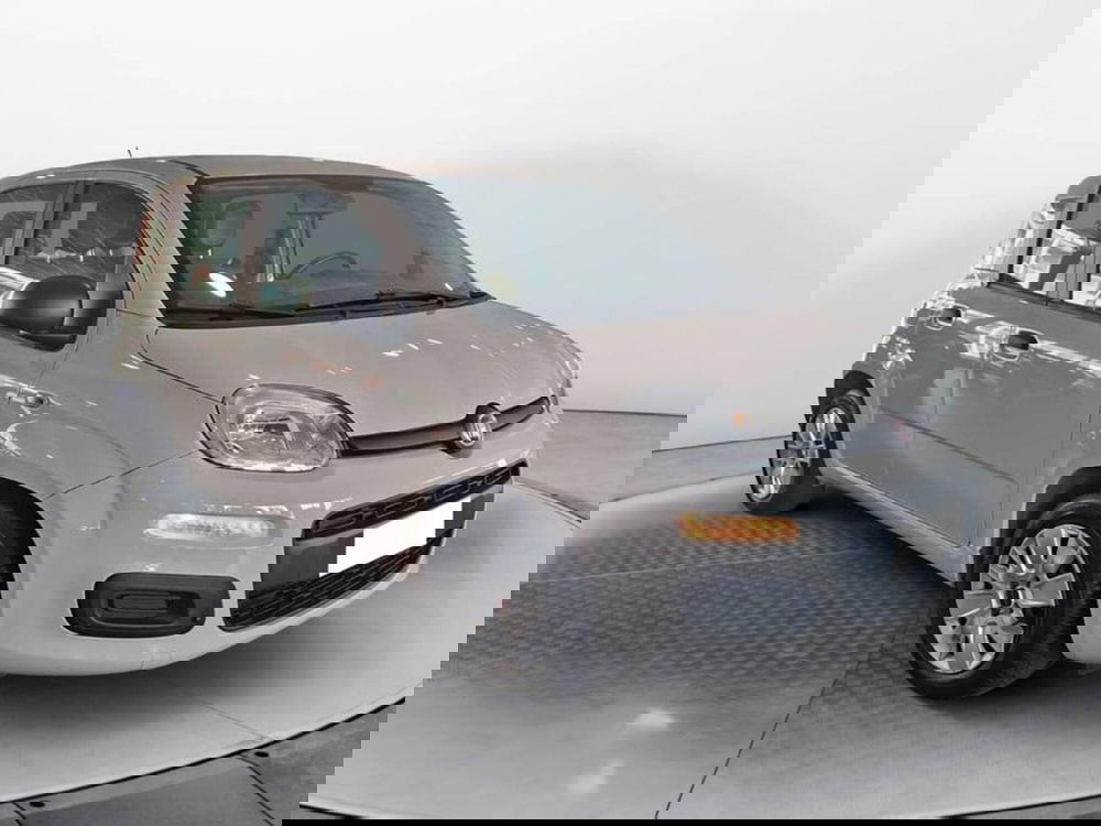Fiat Panda usata a Torino (3)