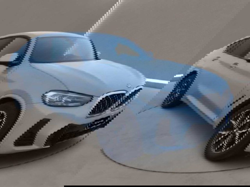 BMW X4 usata a Caltanissetta (3)