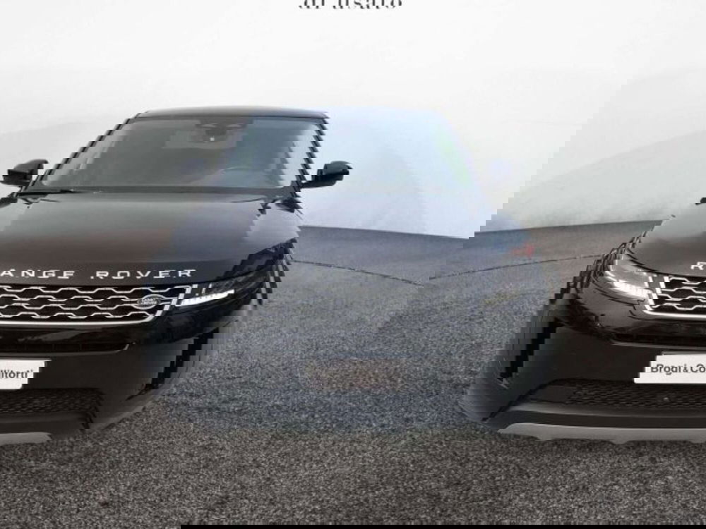 Land Rover Range Rover Evoque usata a Firenze (2)