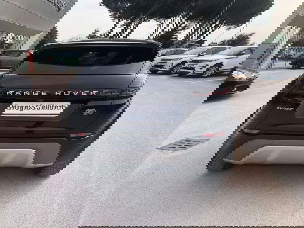 Land Rover Range Rover Evoque usata a Firenze (5)
