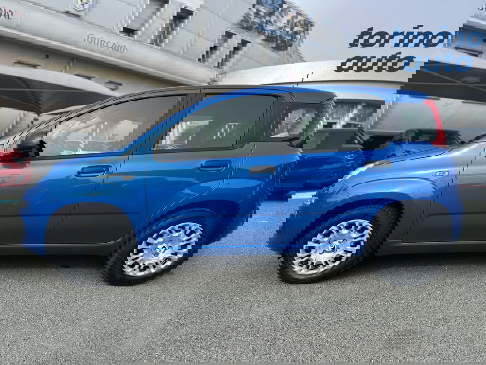 Fiat Panda Cross nuova a Cuneo (4)