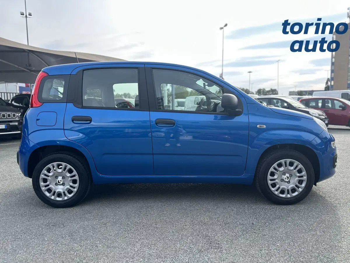 Fiat Panda Cross nuova a Cuneo (8)